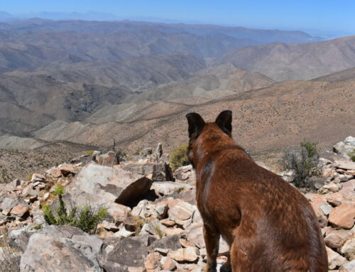 El tesoro arqueológico en el corazón de la comunidad Olla de Caldera