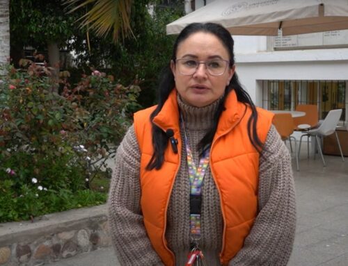 Geóloga por sismos en la Región de Coquimbo: “Se está liberando energía”